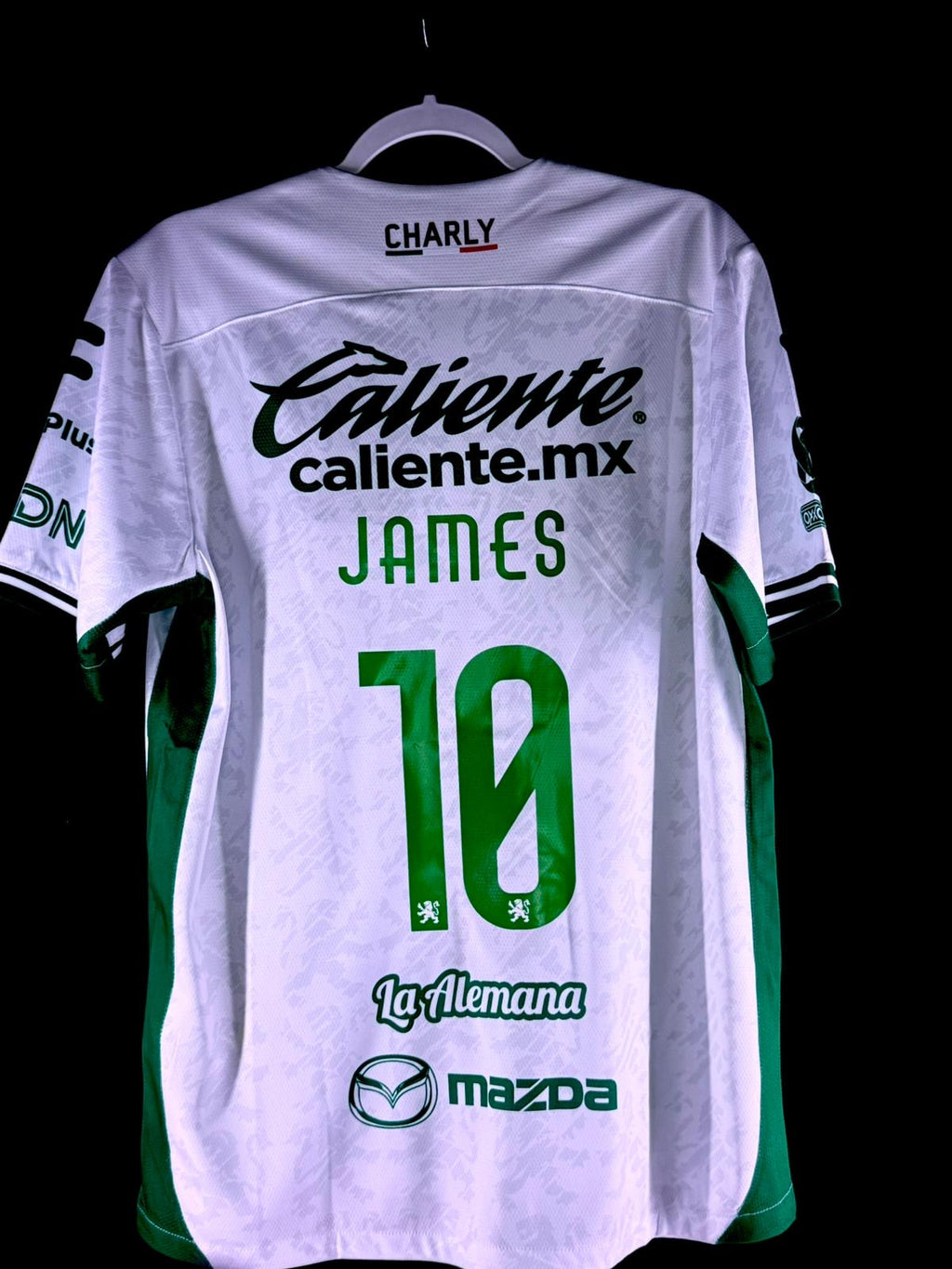 LEON DE MÉXICO VISITANTE 2024-25