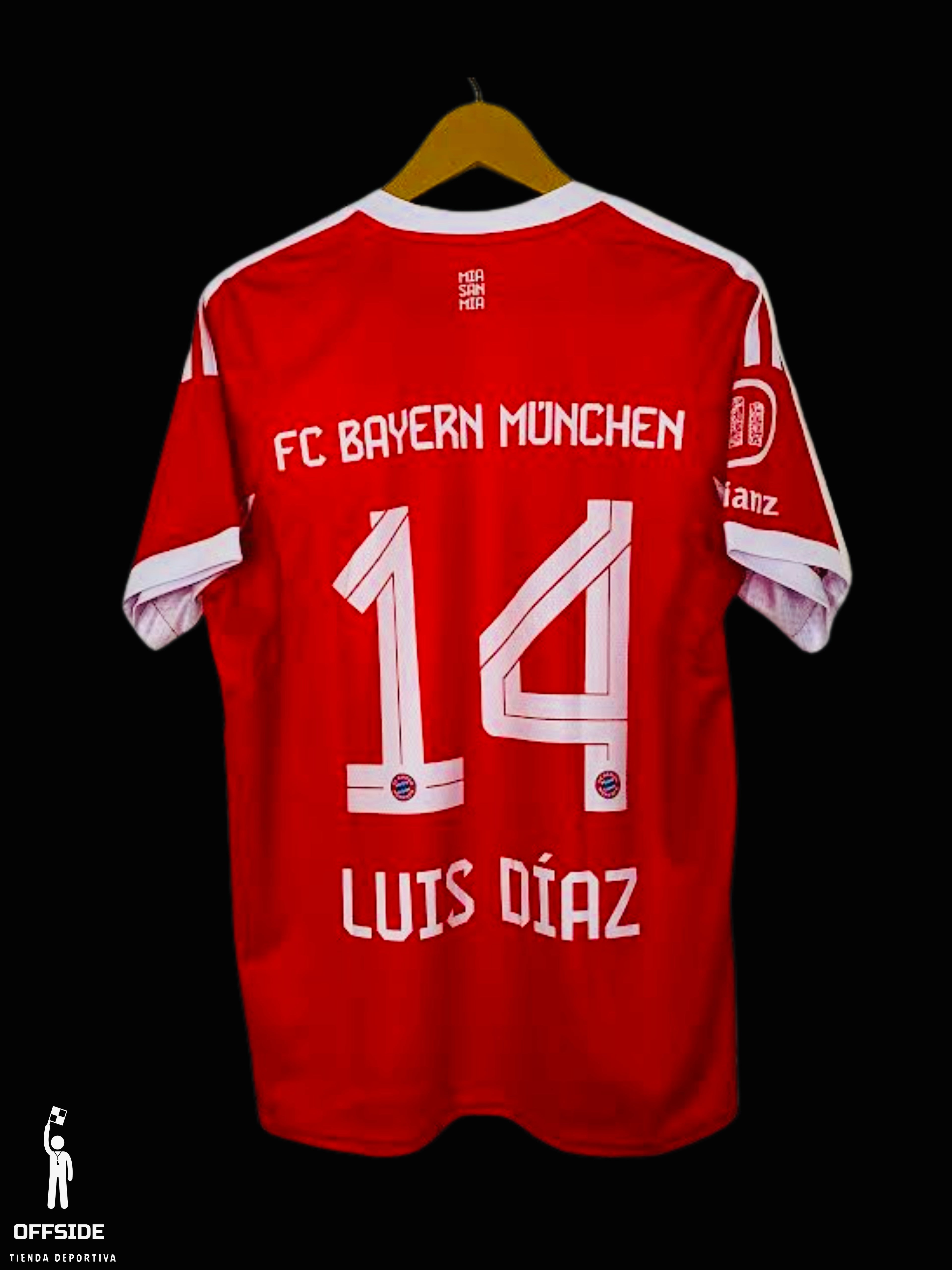 FC BAYERN MUNICH LOCAL 2025/26